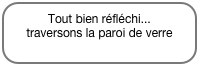 Tout bien réfléchi...
traversons la paroi de verre 
